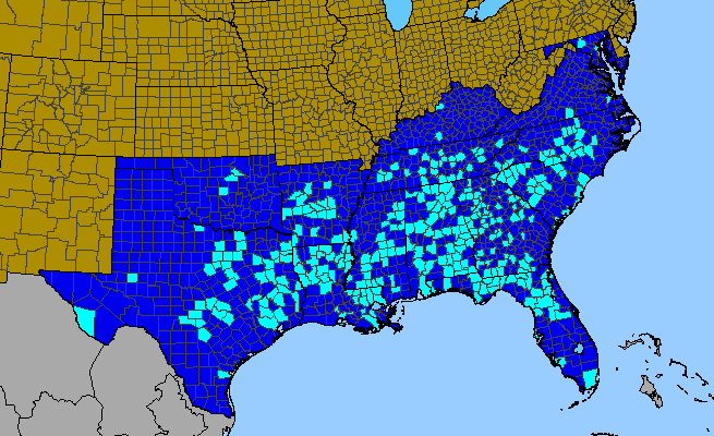 The range of Nandina domestica